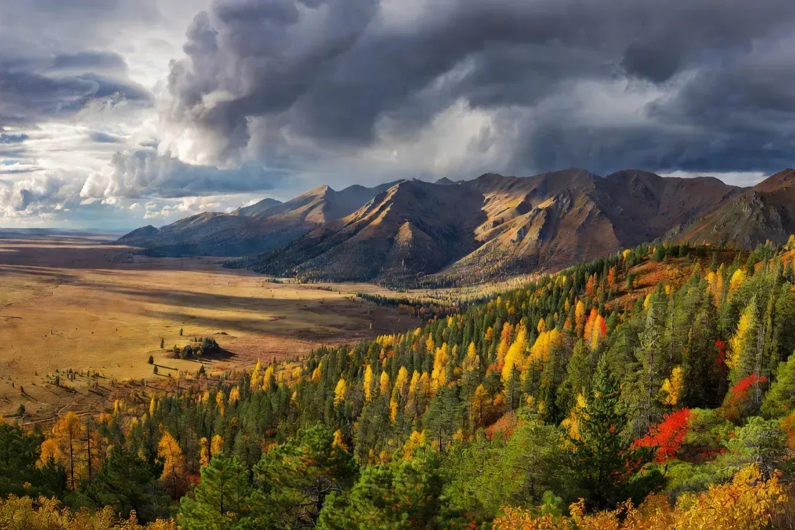 Vue panoramique de la chaîne de l'Oural depuis un col en automne, taïga à l'est et steppe à l'ouest