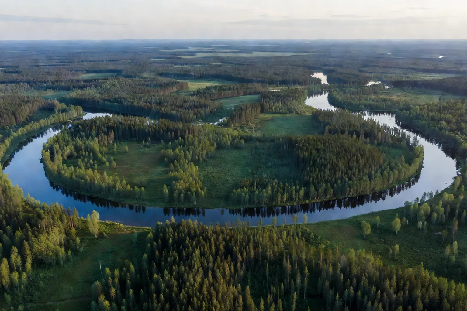 Rivière de la Petchora serpentant entre les forêts boréales de la République des Komis sous un ciel d'été blanc